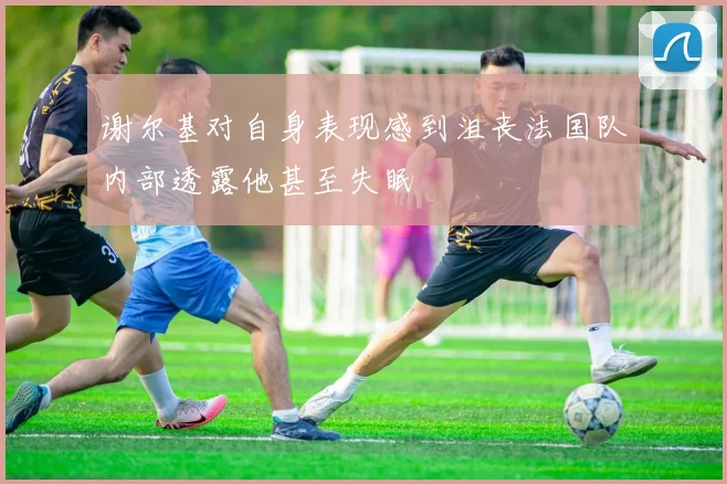 谢尔基对自身表现感到沮丧法国队内部透露他甚至失眠